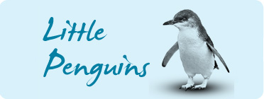 penguins