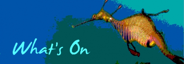 What's On This Month